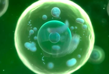grupa badawcza immunoterapii (19) grupa badawcza immunoterapii (19)