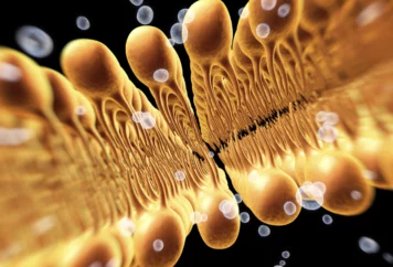 grupa badawcza immunoterapii 22 grupa badawcza immunoterapii 22
