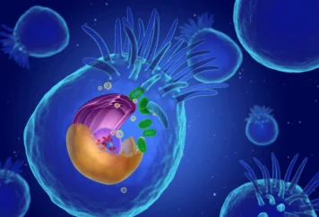 grupa badawcza immunoterapii 24 grupa badawcza immunoterapii 24