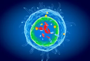 grupa badawcza immunoterapii 27 grupa badawcza immunoterapii 27