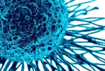grupa badawcza immunoterapii 28 grupa badawcza immunoterapii 28