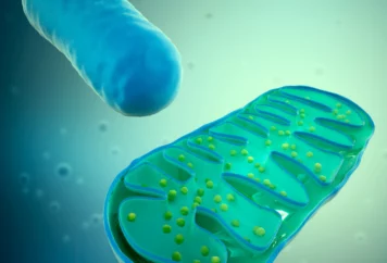 grupa badawcza immunoterapii21 grupa badawcza immunoterapii21