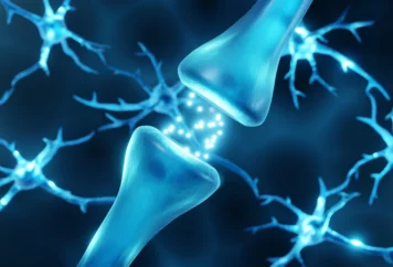 shutterstock_1955211409 shutterstock_1955211409