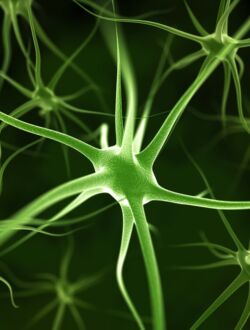 Neurons,Abstract,Background Neurons,Abstract,Background