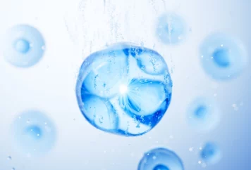 shutterstock_2554733945 shutterstock_2554733945