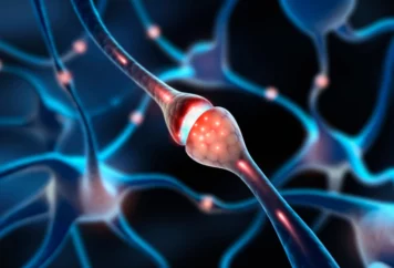 shutterstock_2627378443 shutterstock_2627378443